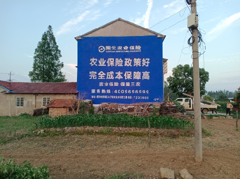 德安墙体广告为何受追捧？